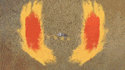 Boya GIF by twinstringsofficial