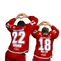 Sport Win Sticker by Eisbären Regensburg