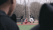 mkepanthers baseball college panthers milwaukee GIF