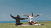steve aoki GIF by Sony Music Perú