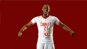 choletbasket sport basketball basket cb GIF