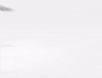 Lonely GIF by Noah Cyrus