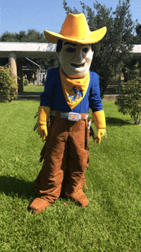 Dab Cowboys GIF by McNeese State University