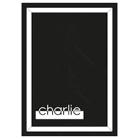 StayCharlieOf wow charlie viaje staycharlie Sticker