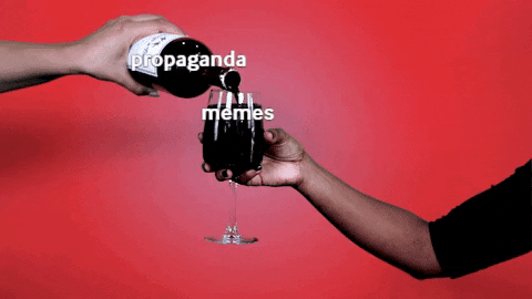 tyneesha giphygifmaker memes propaganda bcm112 GIF