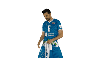 Mitja Gasparini Flag Sticker by Generali.si