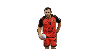 Handball Dragon Sticker by HCCA