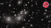 James Webb Nasa GIF by ESA Webb Space Telescope