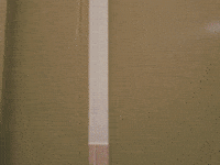 Comedy Lol GIF by The Gregory Brothers