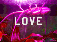 GIF by PEEKASSO