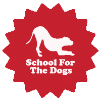 Dogs Dog Training Sticker by SchoolForTheDogs