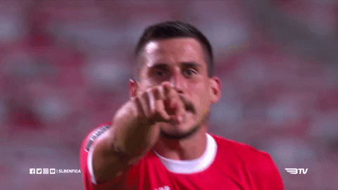 Sl Benfica Kiss GIF by Sport Lisboa e Benfica