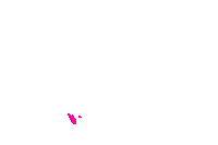 Shanti Mata Leon Sticker by shantiosnabrueck