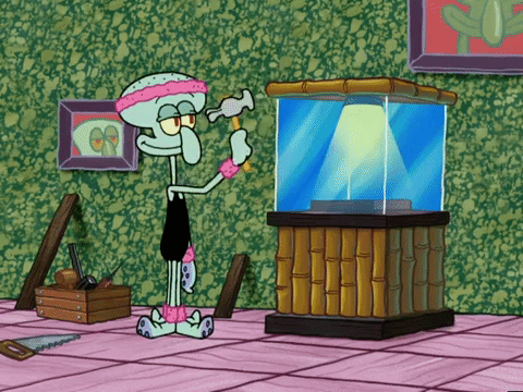 season 5 GIF by SpongeBob SquarePants