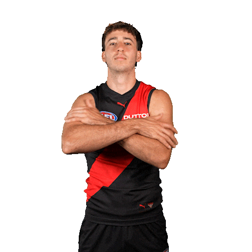 Football Sport Sticker by Essendon FC