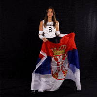 Lets Go Volleyball GIF by Purdue Fort Wayne Athletics