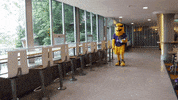 Battle Of Waterloo Uwaterloo GIF by Waterloo Warriors