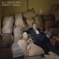 allcreaturestv animals drunk train sleeping GIF