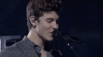 shawn mendes GIF by 2017 MTV Video Music Awards