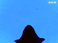 Animated Film GIF by Turner Classic Movies