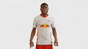 Football Soccer GIF by RB Leipzig