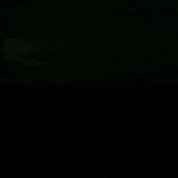Art Summer GIF