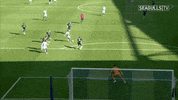 Soccer Futbol GIF by Brighton & Hove Albion Football Club