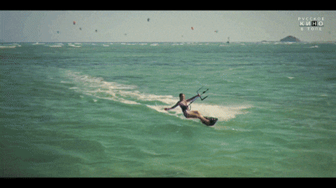 giphy.gif