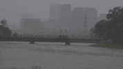 Climate Change Water GIF by DIIMSA Stock