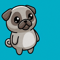 Valentines Day Love GIF by Pugs