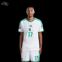 Fifa World Cup Algeria GIF by Respective