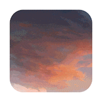 Tmg Sticker by Bollgard