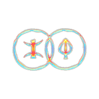 Amazigh Enfants Sticker by Mehdi Nitsh