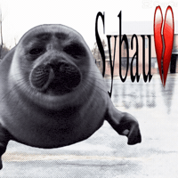 nikotoba meme seal niko sybau GIF