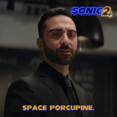 Space Porcupine