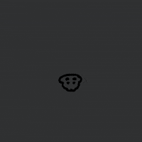 Cat Car GIF