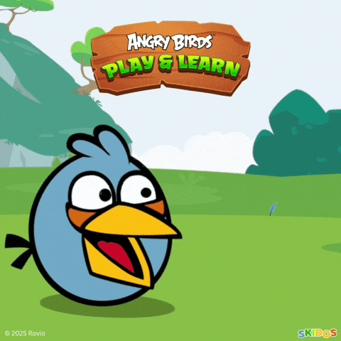 Angry Birds Kids Games GIF by SKIDOS