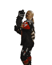 Happy Ice Hockey Sticker by deb_teams