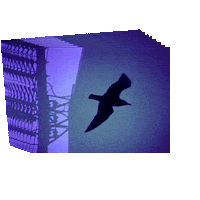 Flying Video Art Sticker