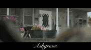 Looking Canadian GIF by Raven Banner Entertainment