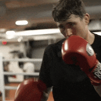 fight ufc GIF by Gymshark
