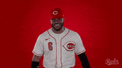 Phillip Ervin Baseball GIF by Cincinnati Reds