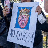 Organize Human Rights GIF by Creative Courage