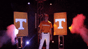 Baseball Hype GIF by NCAA Championships