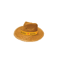 festival hat Sticker by Licor Beirão