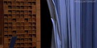 jimmy fallon lol GIF by The Tonight Show Starring Jimmy Fallon