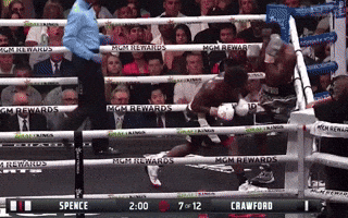 The counter!