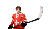 Celebrate Boston Bruins Sticker by Swiss Ice Hockey