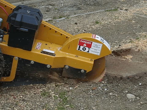 femagreenexpert giphygifmaker tree care stump grinder fresaceppi GIF