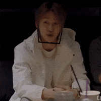 Chinese 세븐틴 GIF
